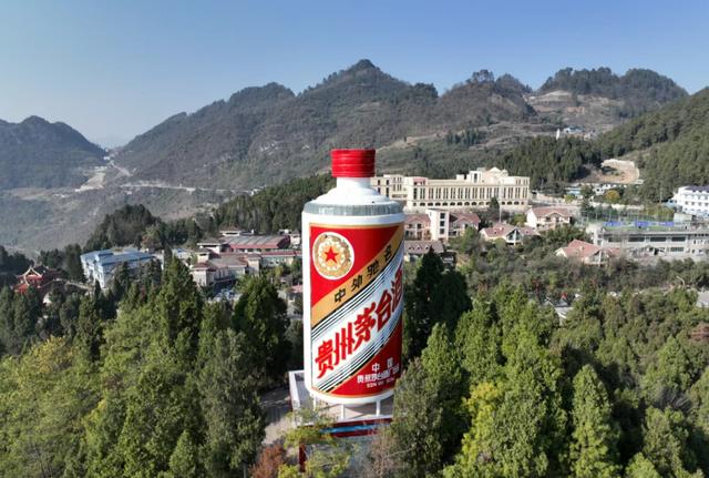 工业废水绿色处理示范——贵州仁怀茅台中华污水处理厂