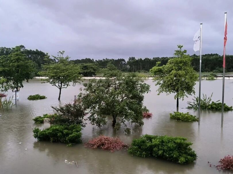 闻“汛”出动 筑牢防线——中国水环境集团全力迎战汛期 守护城乡水安全
